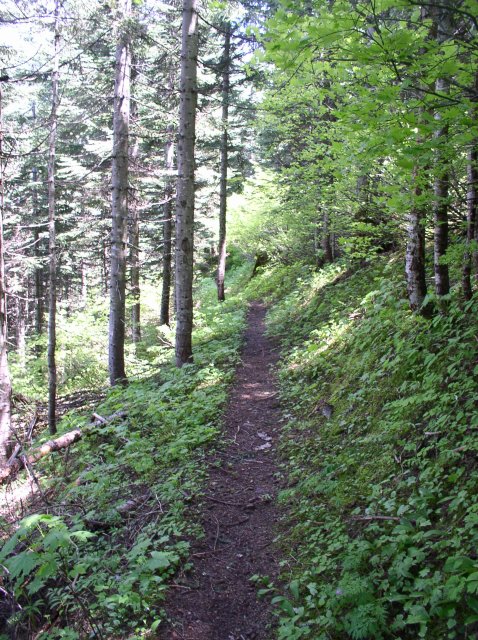 6.10.06 Table Mtn_3CR 132 